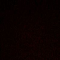 original sound - saal9974