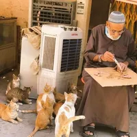 original sound - compte_islamr.appel