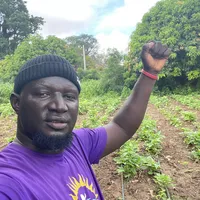 original sound - dawour.agri