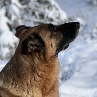 3gsdnorway