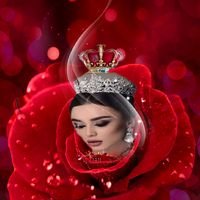 tulippe_noire