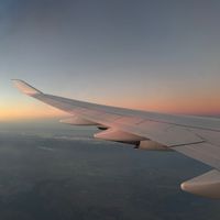 flying.msxch