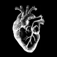 evergreen instrumental