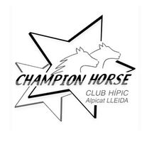 esquestrian.champions