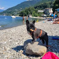 Si chiama Ah Pisolino