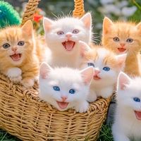 original sound