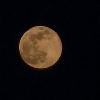 la_mari_06_