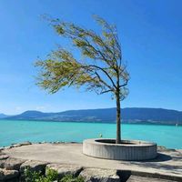 swissnature08