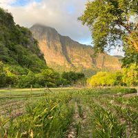 kawtmayanresort