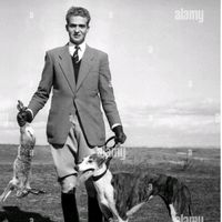 elpaquillodelamancha