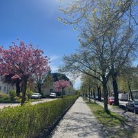 nhạc nền - EMMYLU