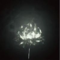 idk what to put here