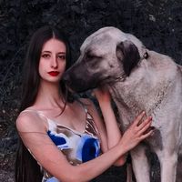 leonora.dogs