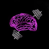sonido original - focus2lift