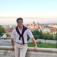 Fever dream_Alex Warren_Niklas Hum Remix