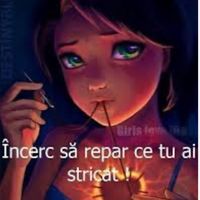 sunet original