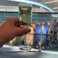 sants.travels