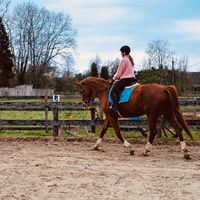 equestrian_louise