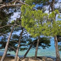 myeurosummer