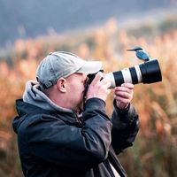 оригінальний звук