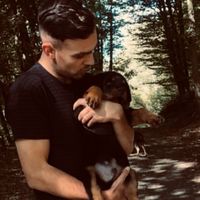 chico_rottie