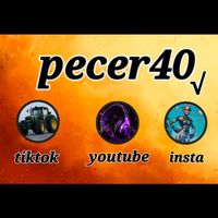 insta_pecer40