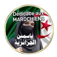 dz202.a