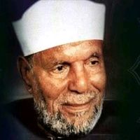 الصوت الأصلي