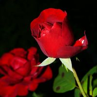khadijamimi6655