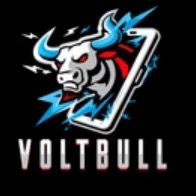 voltbull.fr