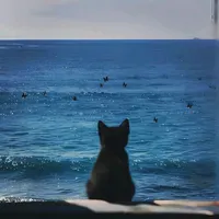 original sound - .oc3an.lov3