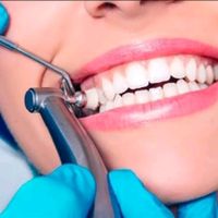 dental_artist.offi