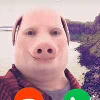 alpha.xx_roblox