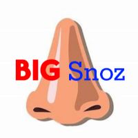 bigsnoz96