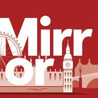 mirrorpolitics