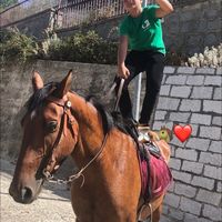 domenicocasagrande