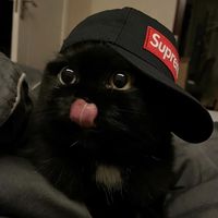 Originalton