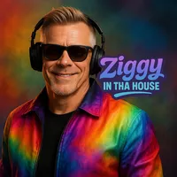 I just called to say remix Ziggy in tha House 2025