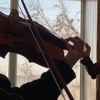 violinechoes