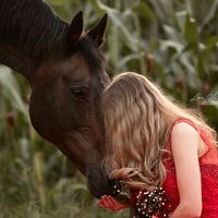 _dreamhorses__s
