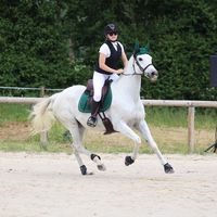 hope_of_pony