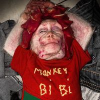 monkey.baby03