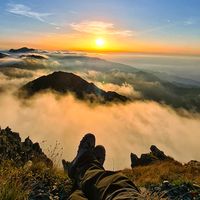 sunet original