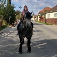 eredeti hang