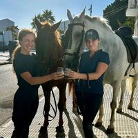 myhorses_espana