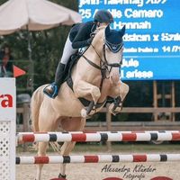 hannahlilith.equestrian