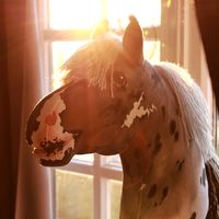 rlh_hobbyhorsing