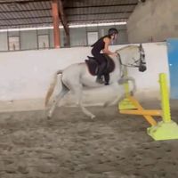 rebecongiu