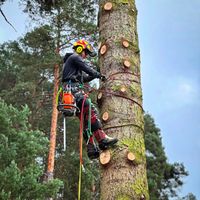 martin_lumberjack
