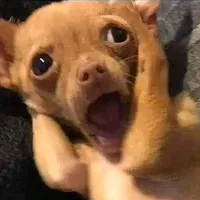 ....
